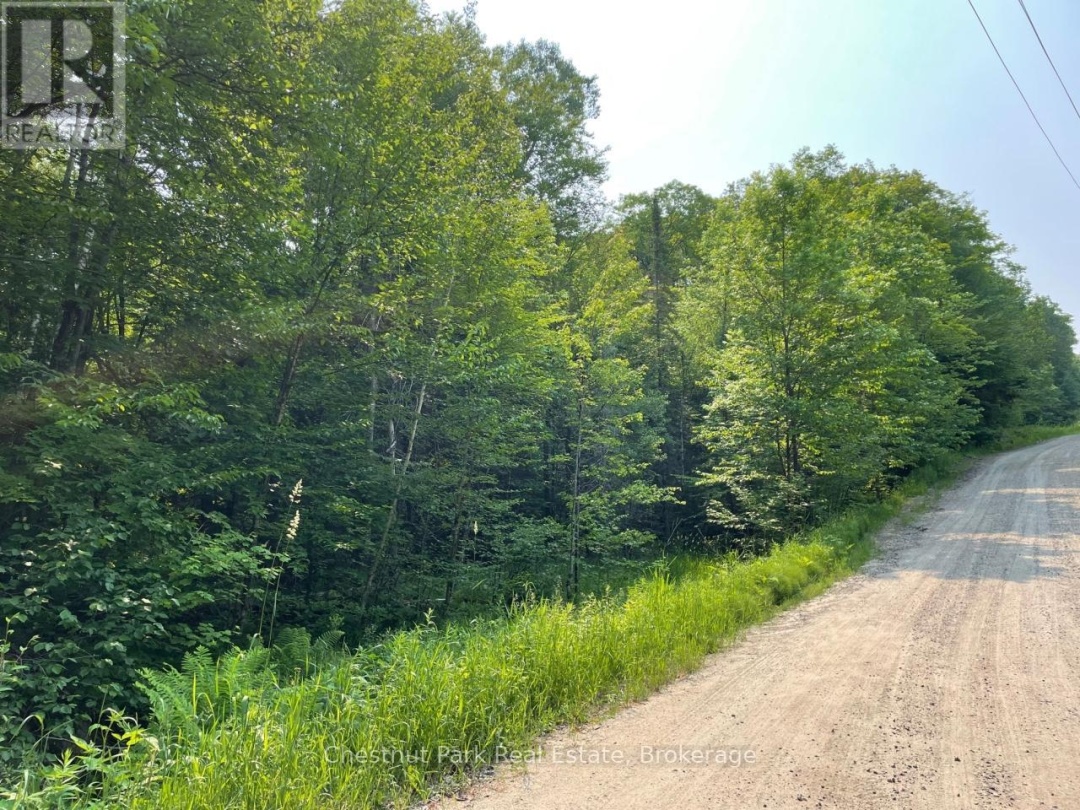 0 COLEMAN LAKE ROAD, Dysart et al (Guilford)