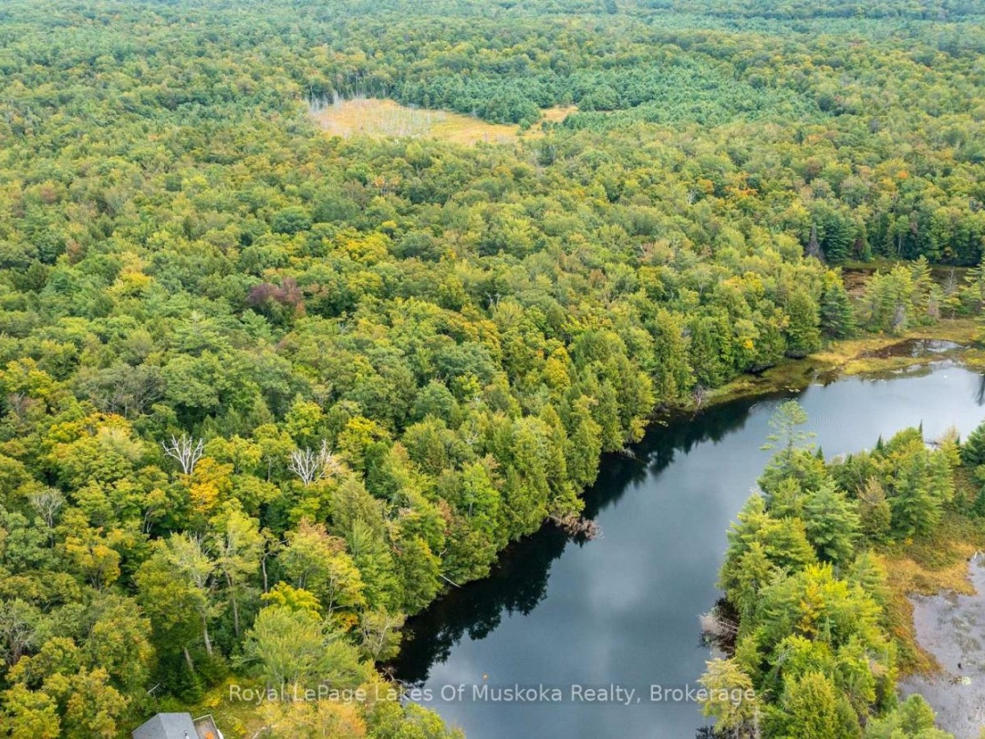 0 MUSKOKA RIVER, 