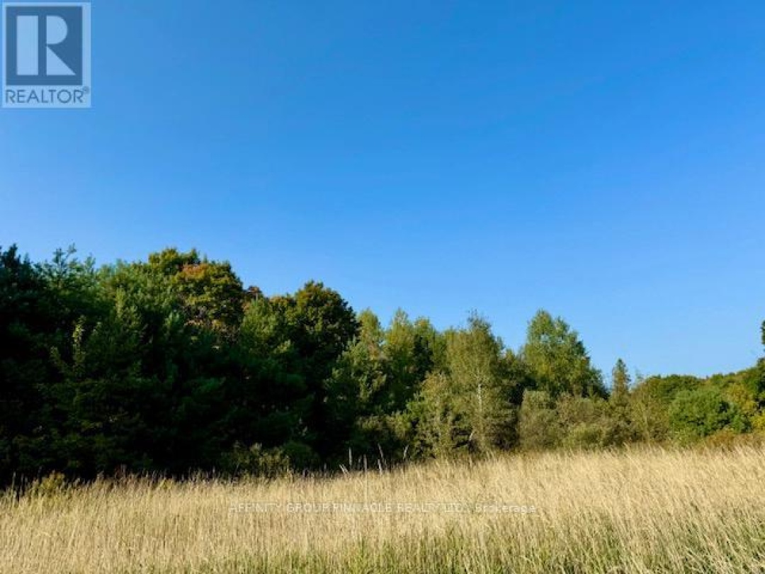 0 35 HIGHWAY, Kawartha Lakes (Laxton/Digby/Longford)
