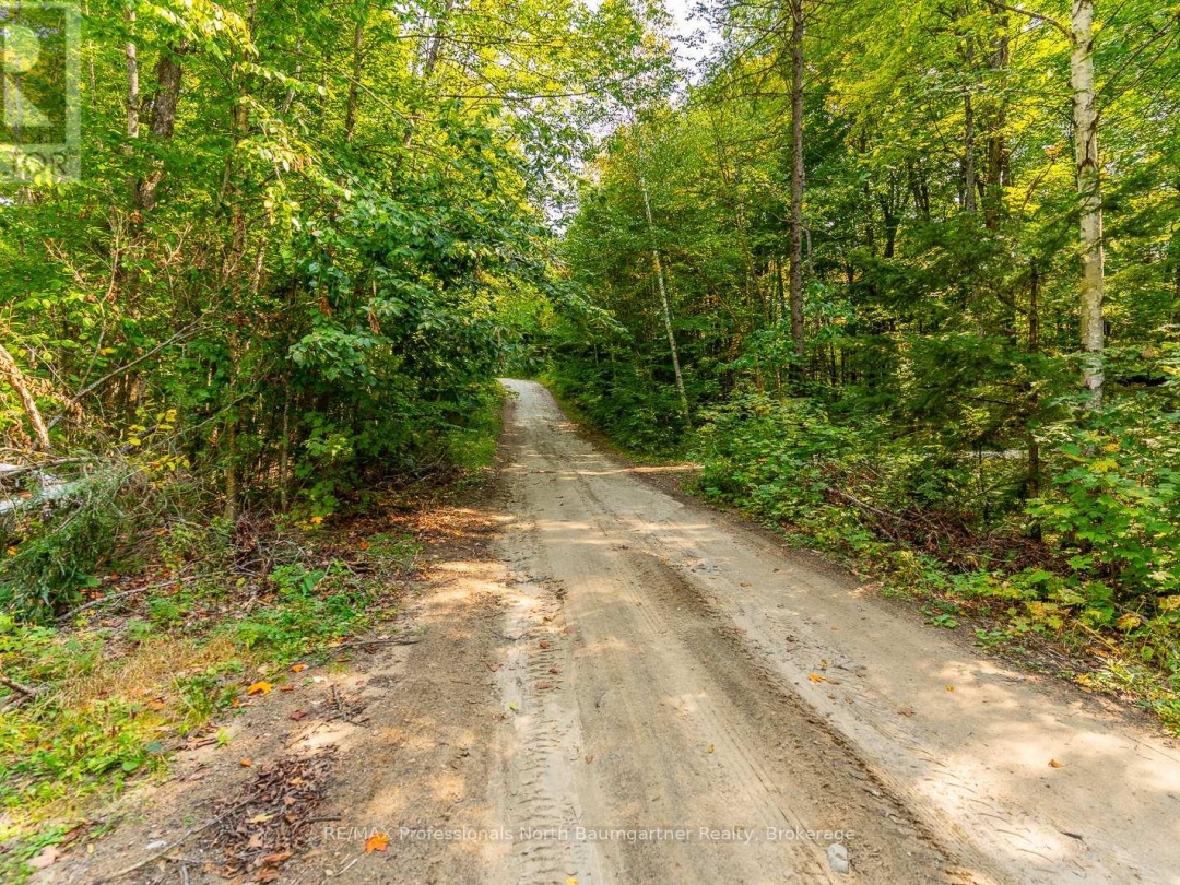 LOT 49 BASSHAUNT LAKE ROAD, 