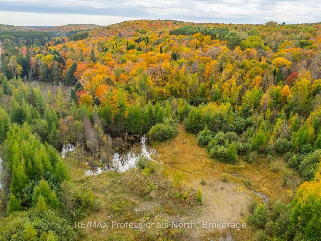 1600 BOBCAYGEON ROAD, Minden Hills (Minden)