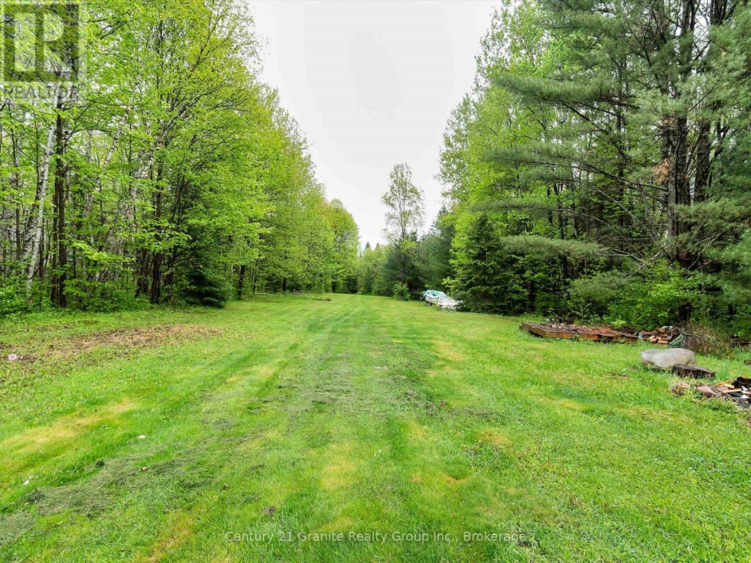 2302 Buckslide Road, Algonquin Highlands (Stanhope)