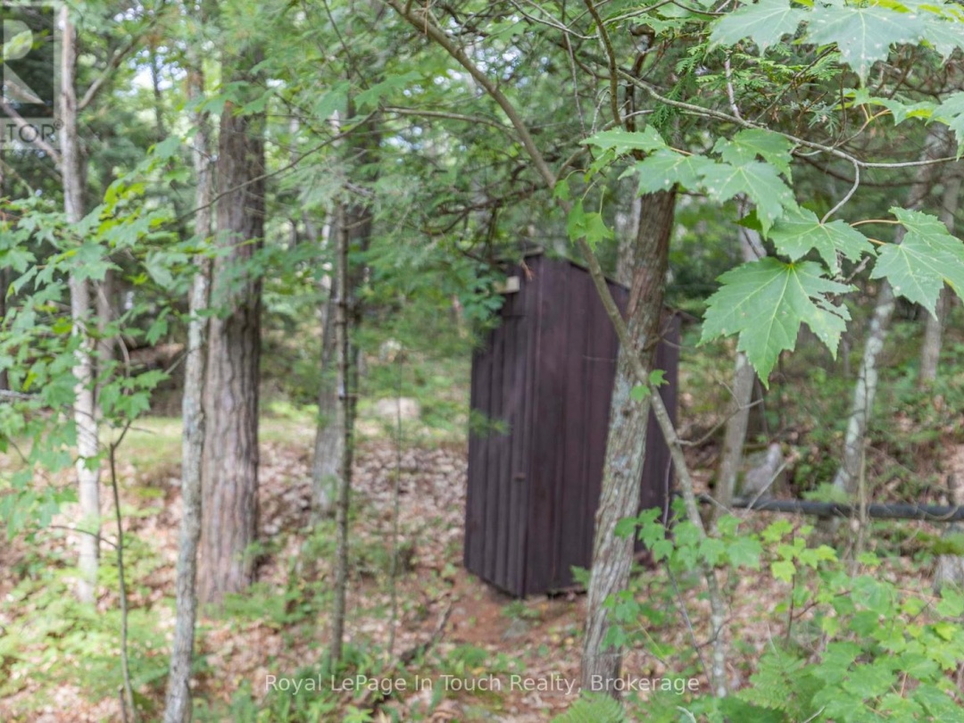 B207-10 WAHSOUNE ISLAND, Georgian Bay