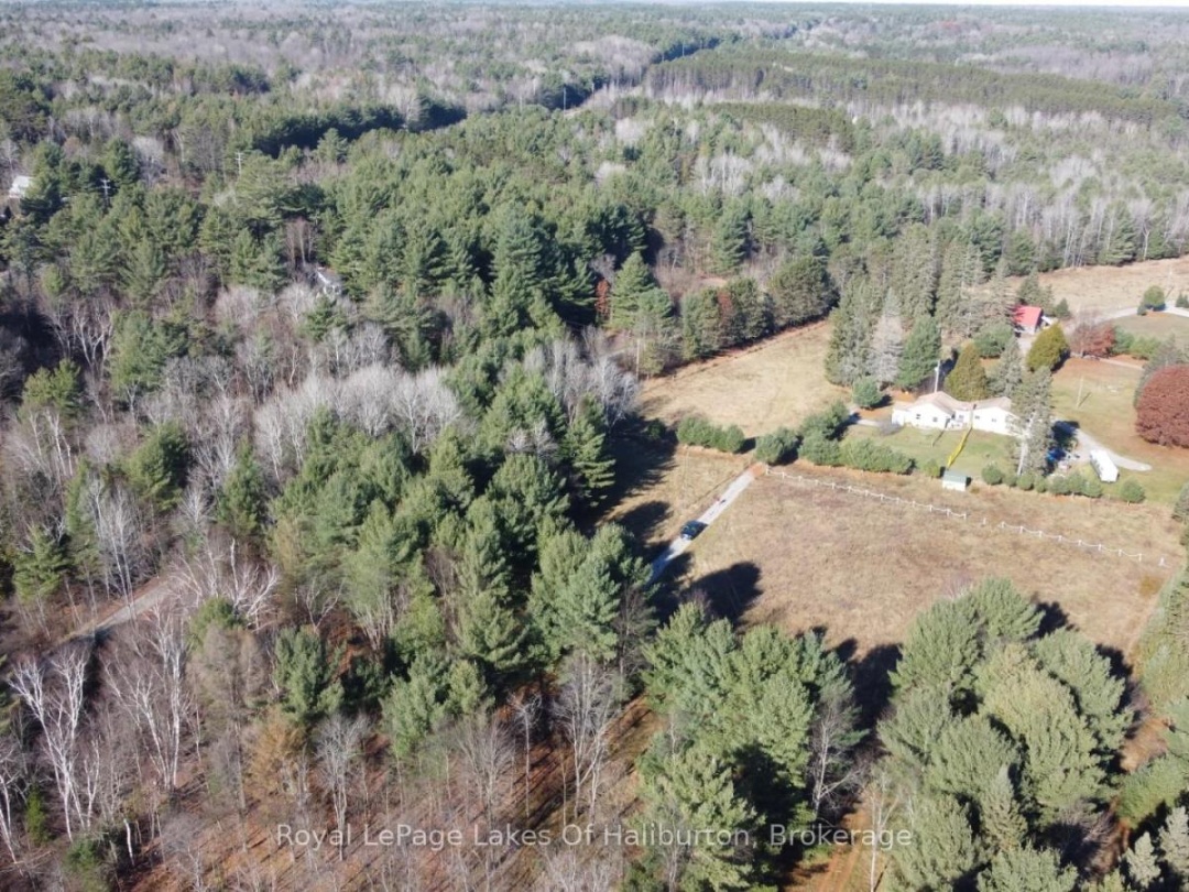 1036 PRIVET DRIVE, Burnt River