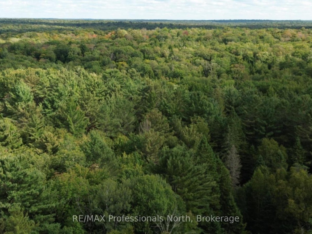 671 LYNX LAKE ROAD, 