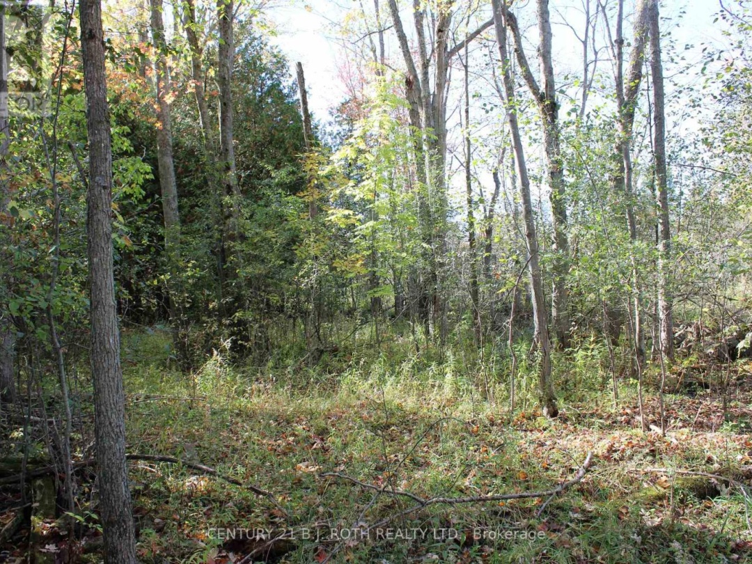 388 WOODLAND DRIVE, Oro-Medonte