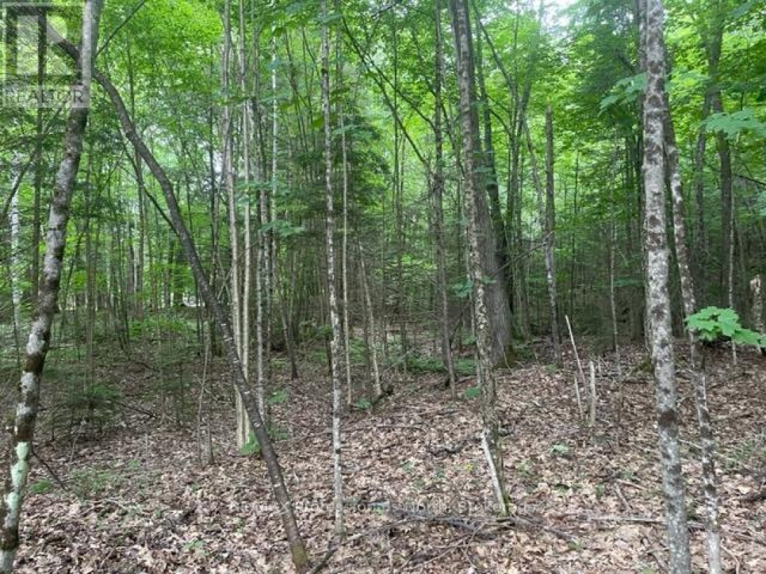 0 BIG HAWK LAKE ROAD, Algonquin Highlands (Stanhope)