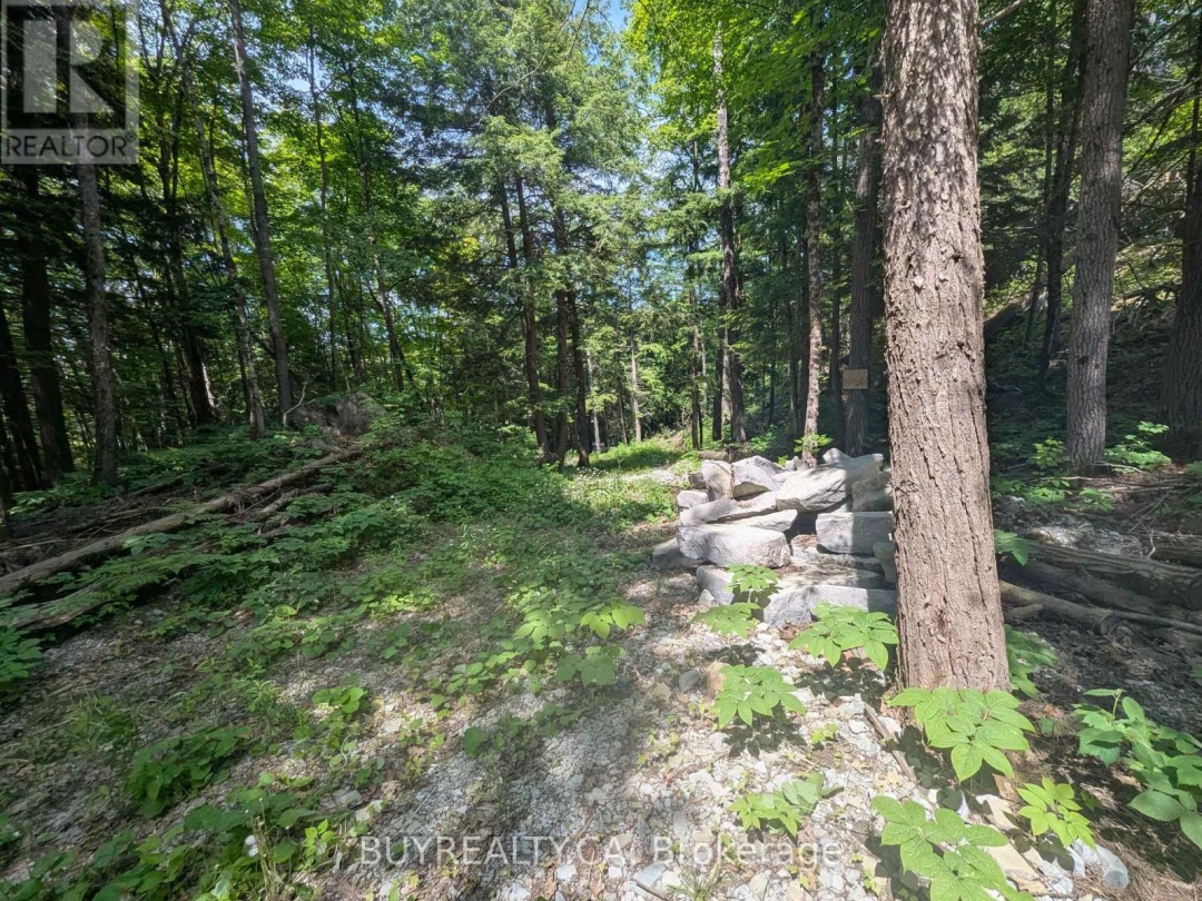 2318 SHERWOOD FOREST LANE, 