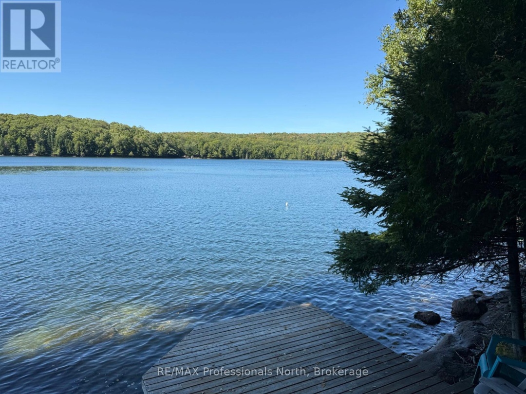 1025 MANITOU ROAD, Little Dudmon Lake