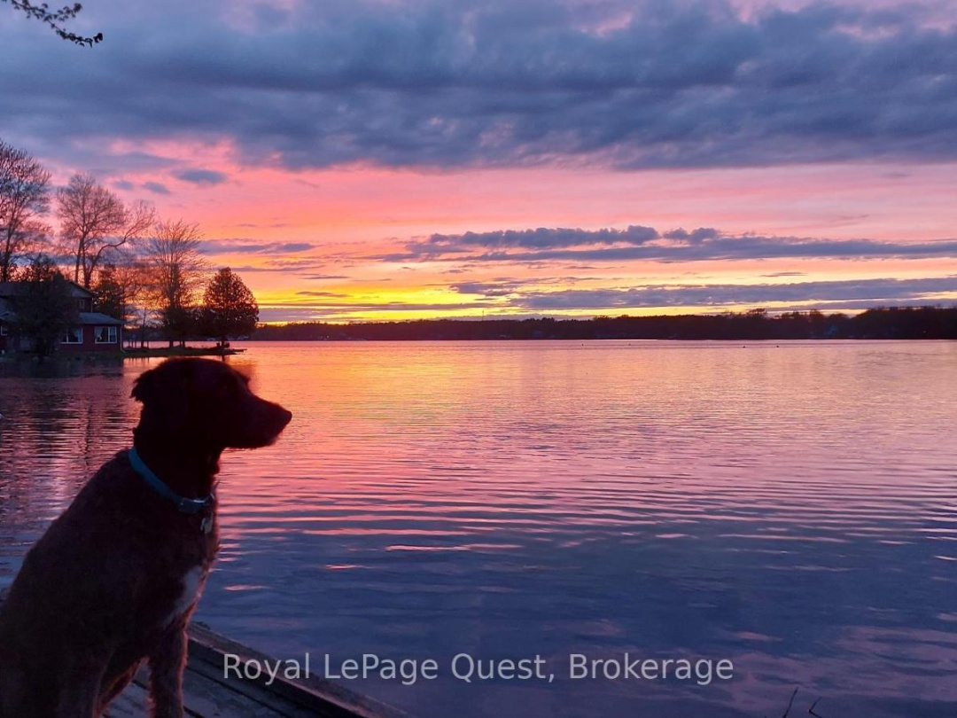 4304 PLUM POINT ROAD, 