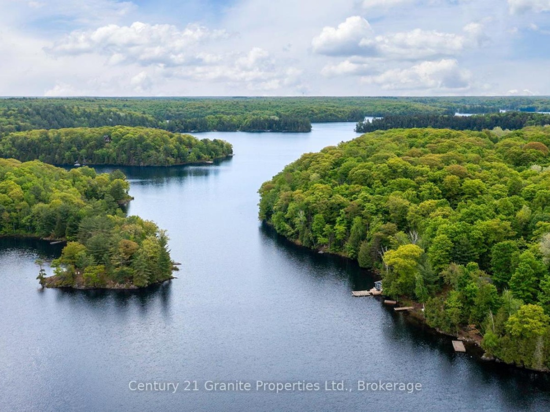 131 DOWNES ROAD, Horseshoe Lake