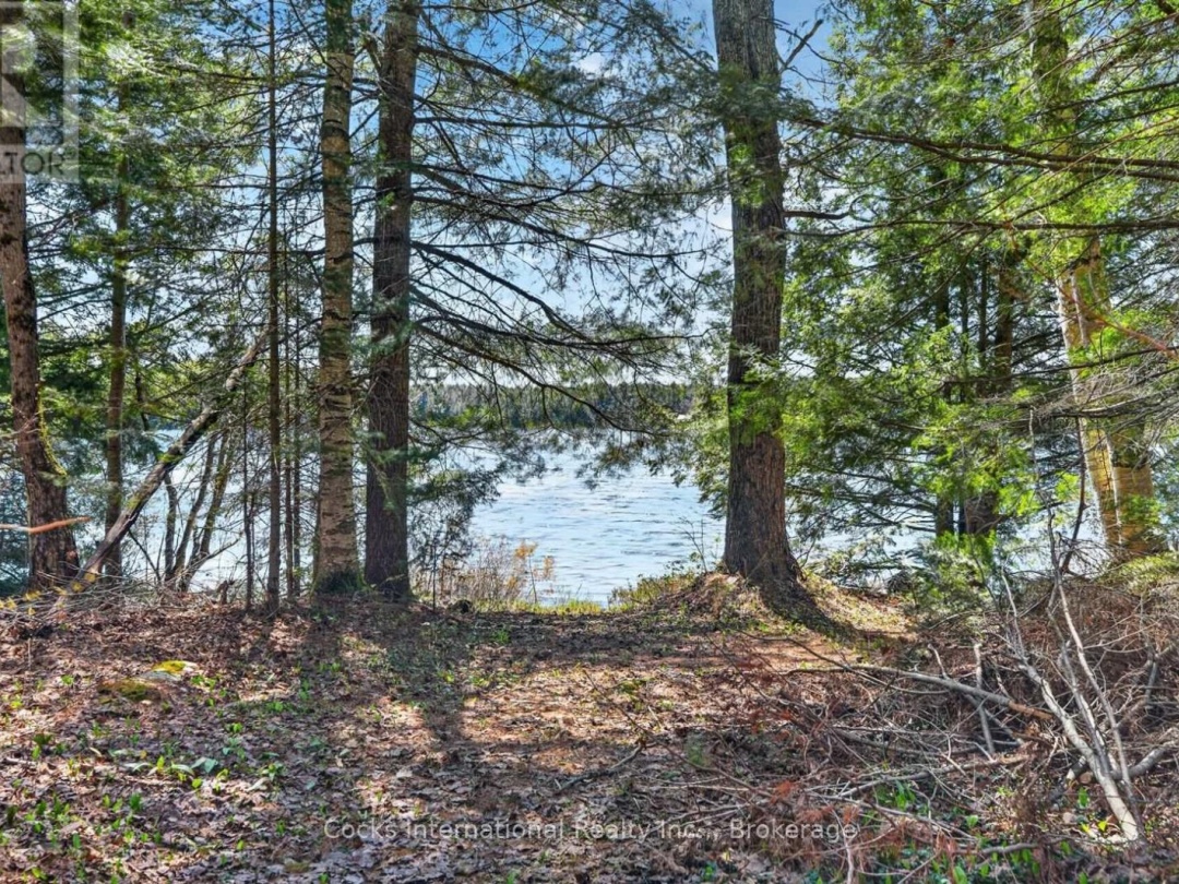 1165 SPRING LAKE ROAD, Spring Lake