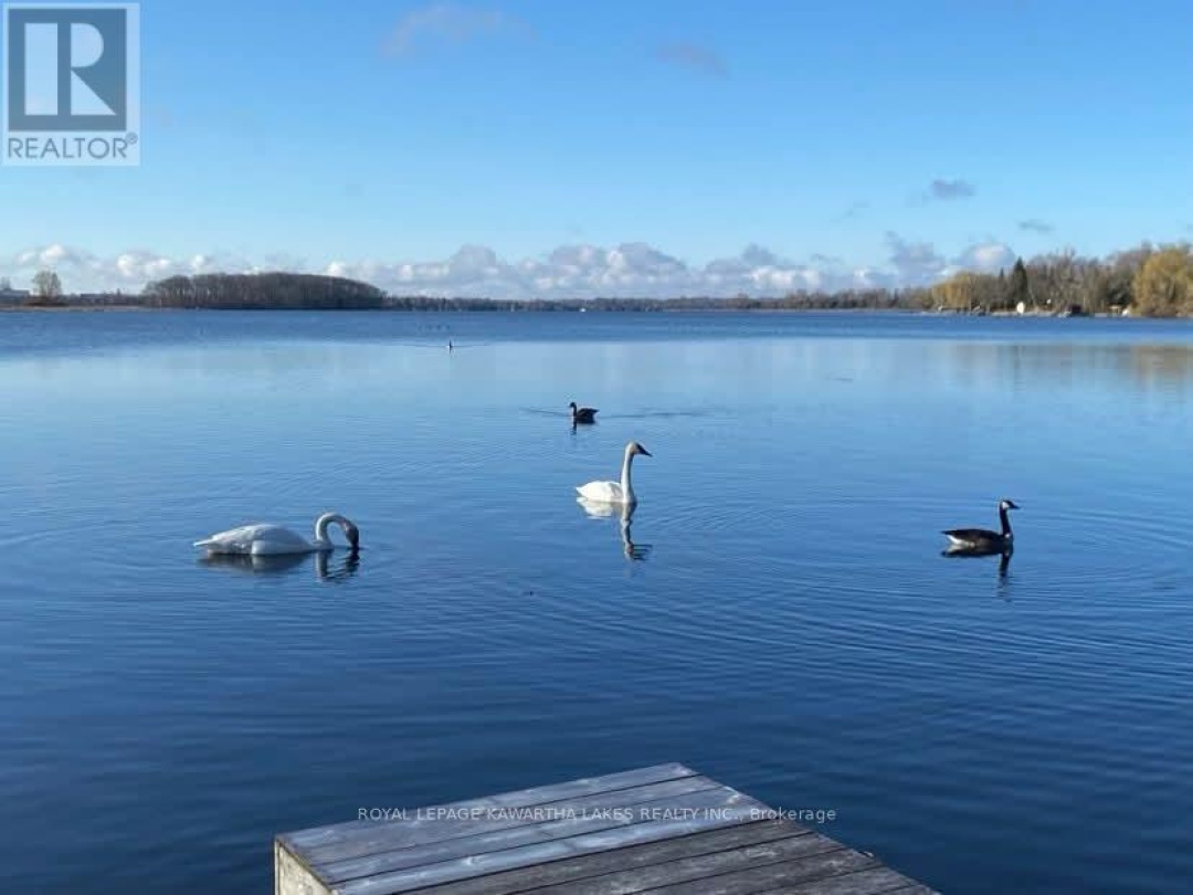 222 O'REILLY LANE, Scugog Lake
