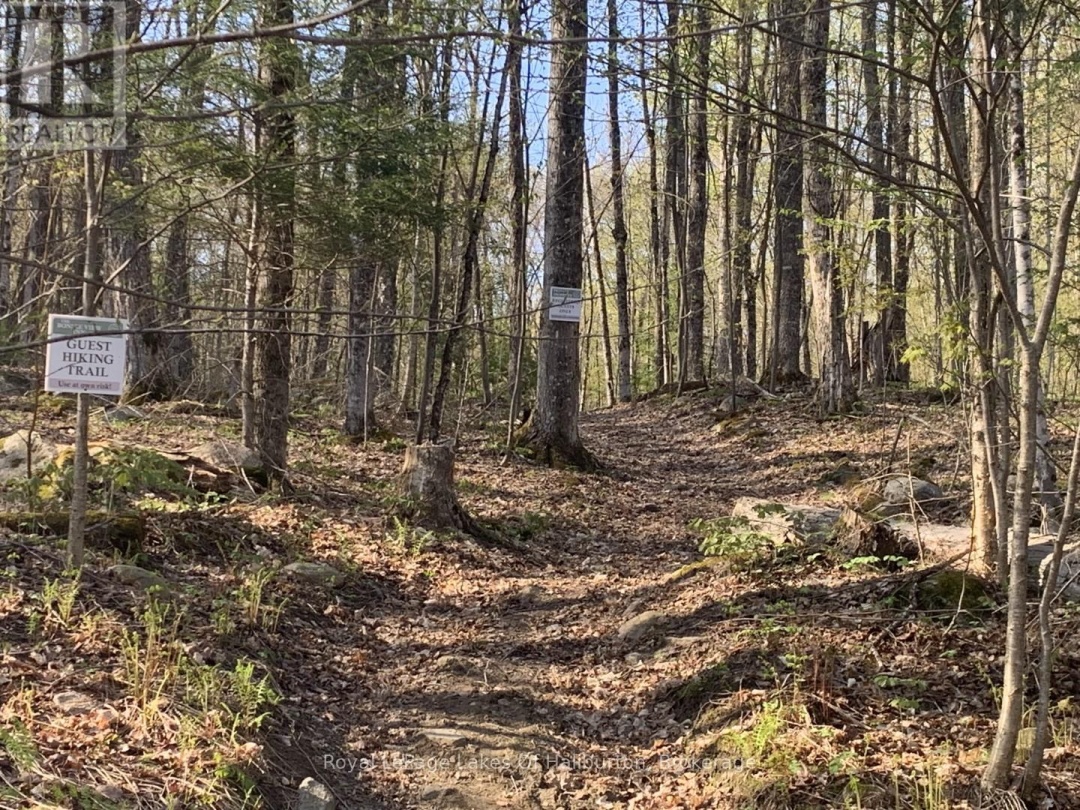 0 KASHAGAWIGAMOG LAKE ROAD, 