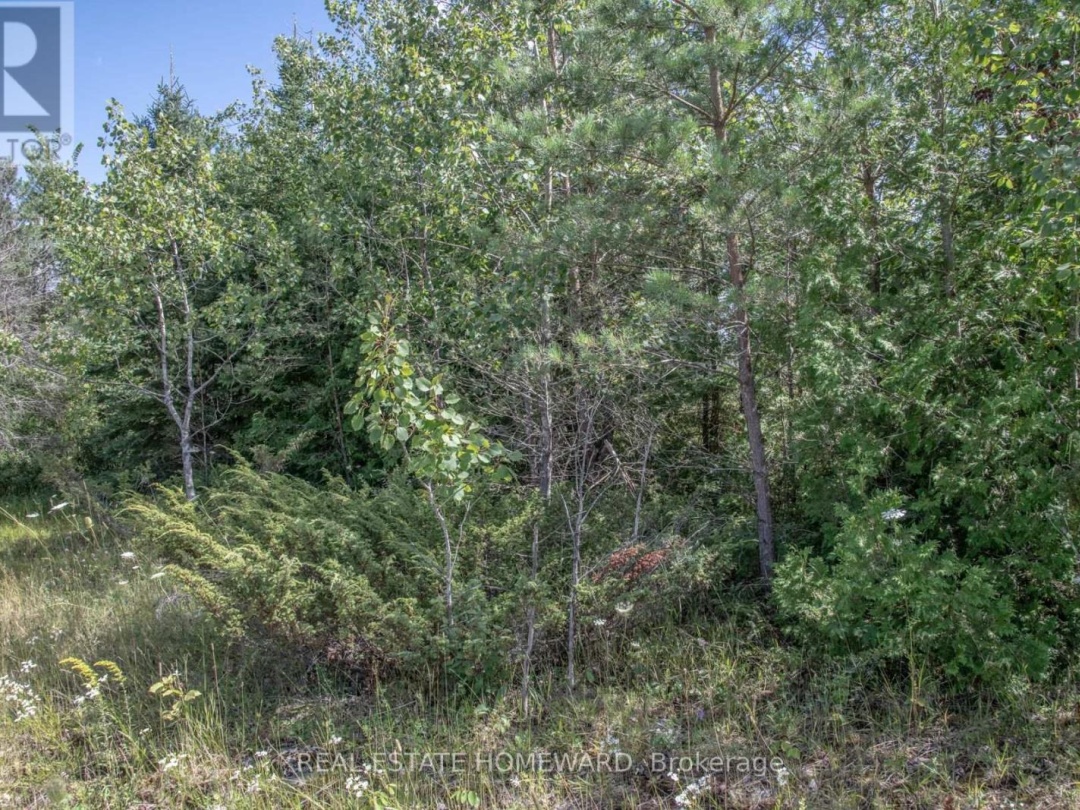 254-256 MCGUIRE BEACH ROAD, Kawartha Lakes (Carden)