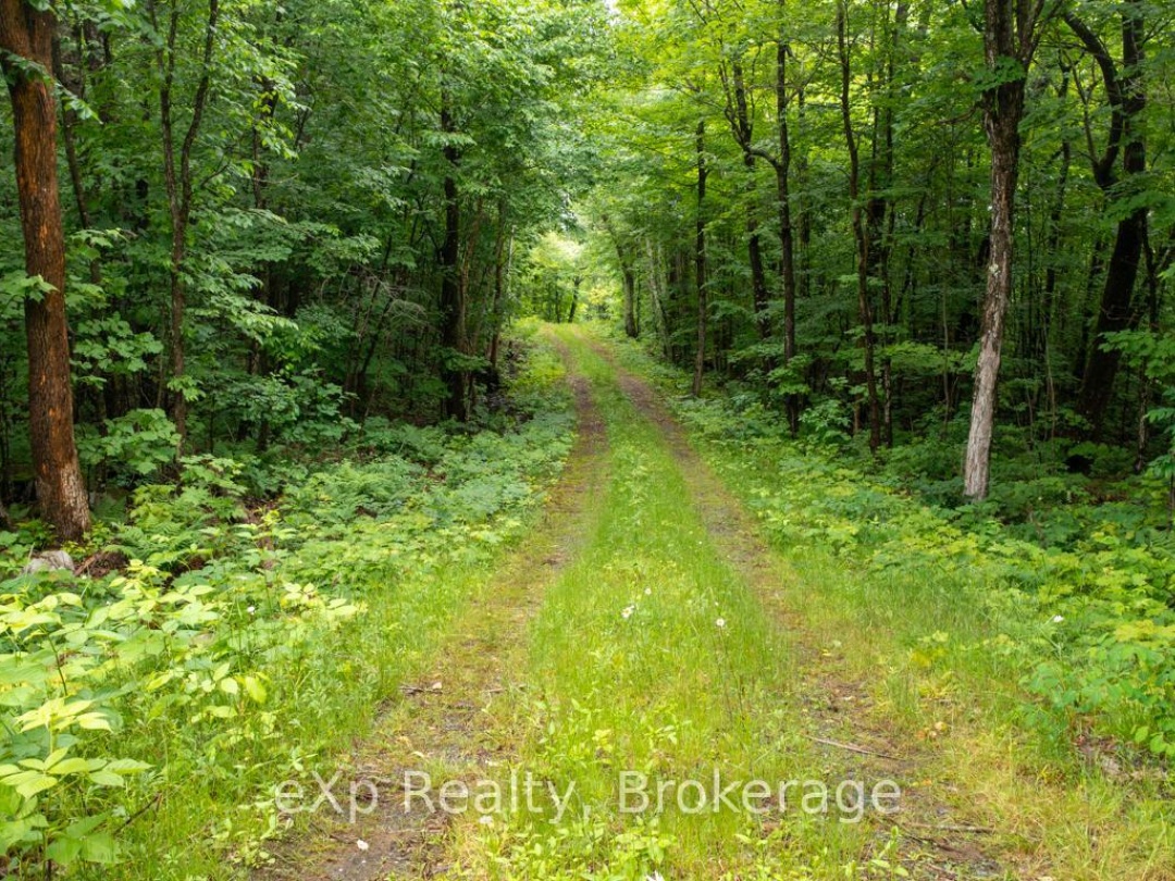 3 KINGFISHER ROAD, Trout Lake
