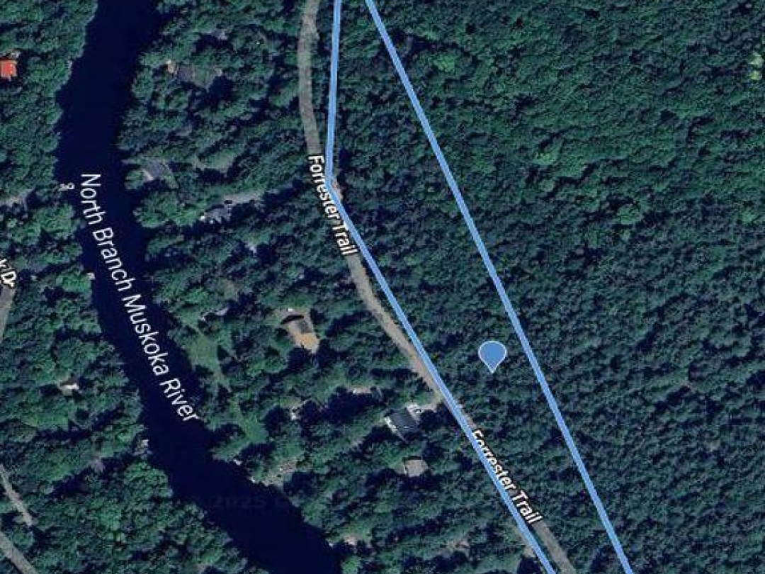 1019 FORRESTER TRAIL, Muskoka River