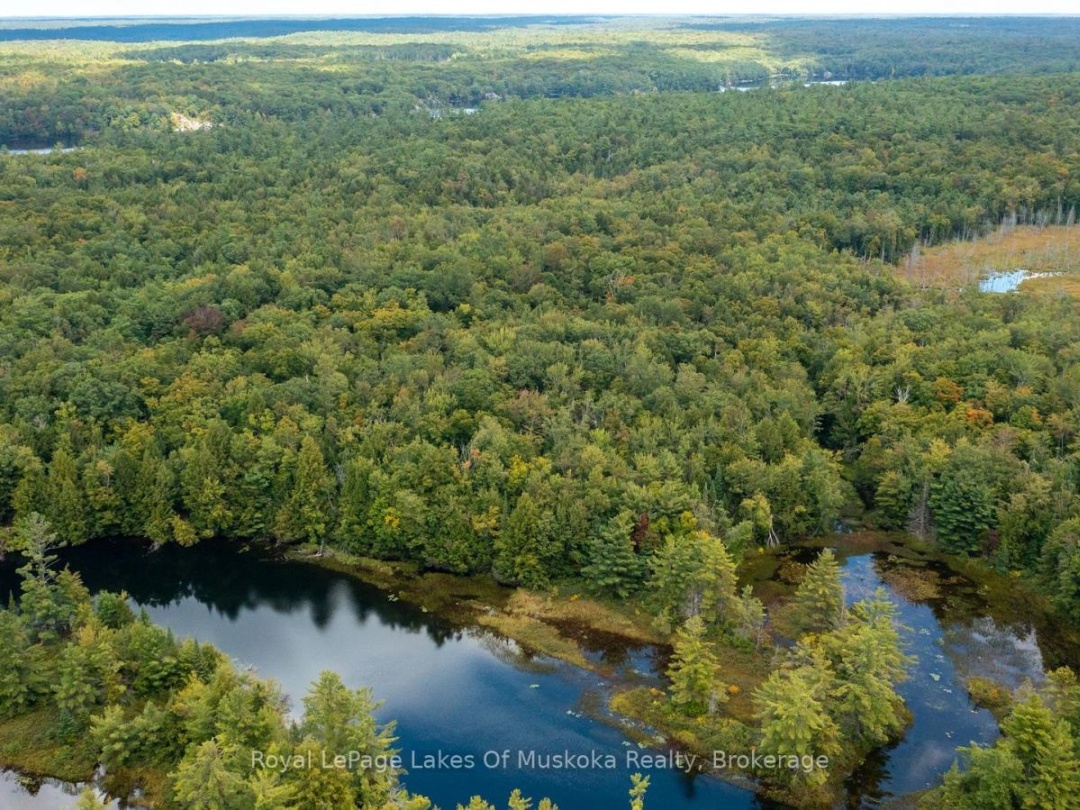 0 MUSKOKA RIVER, 