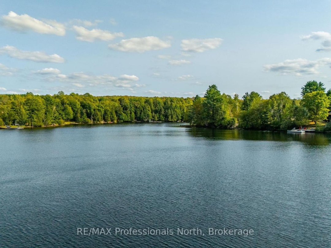 1080 PETTICOAT LANE, Minden Lake