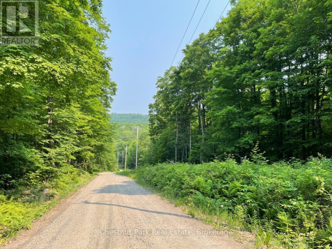 0 COLEMAN LAKE ROAD, Dysart et al (Guilford)