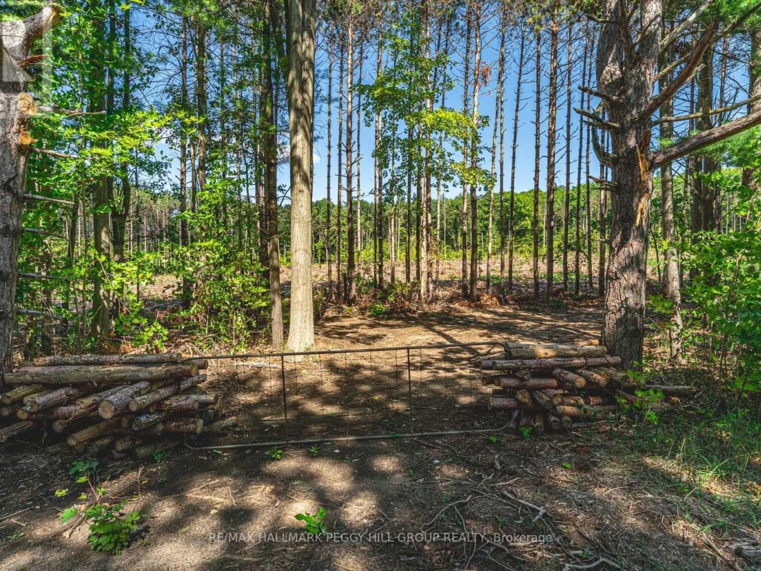 3891 9 LINE N, Oro-Medonte
