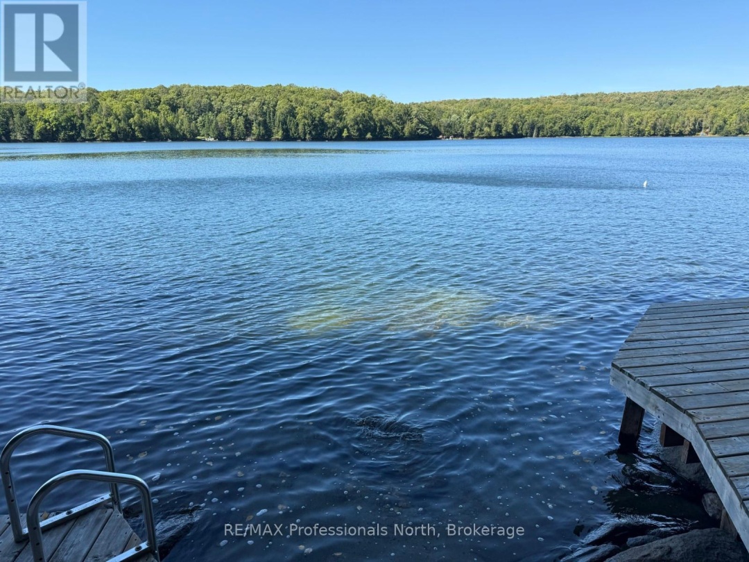 1025 MANITOU ROAD, Little Dudmon Lake