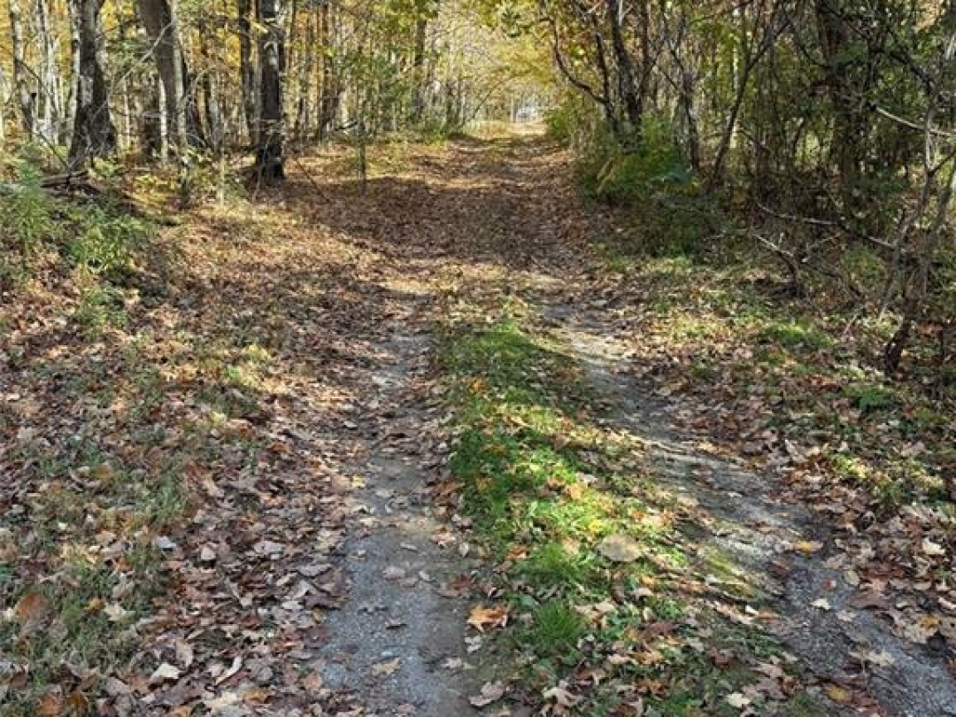 8 Cannonball Lane, Wiley Lake