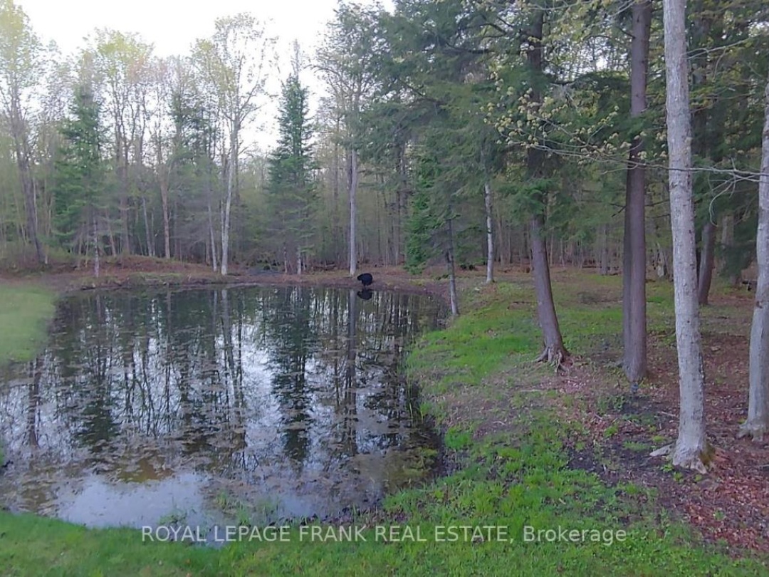 3515 COUNTY RD 121 ROAD, Kawartha Lakes (Fenelon)