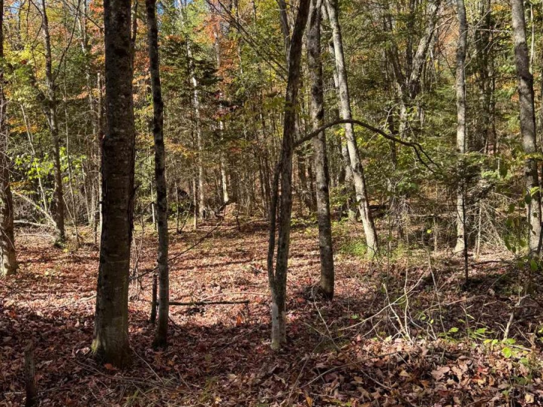 0000 KOSHLONG LAKE ROAD, 