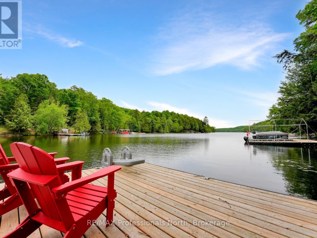 1039 MINK ROAD, Long Lake