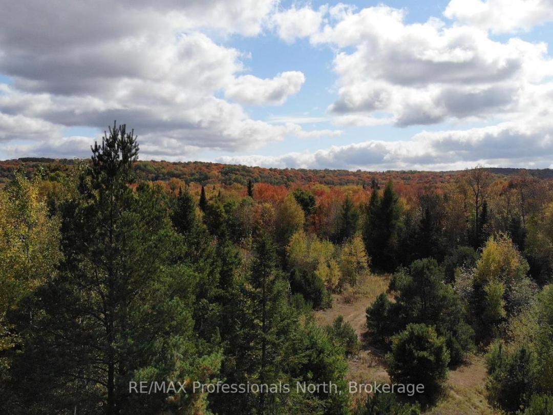 10916 HIGHWAY 503 HIGHWAY, Highlands East (Glamorgan)