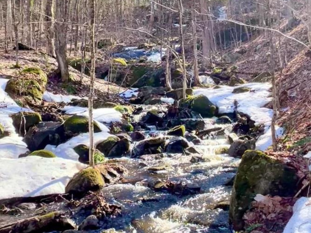 1474 ETWELL ROAD, Creek - Waterfall - Pond!