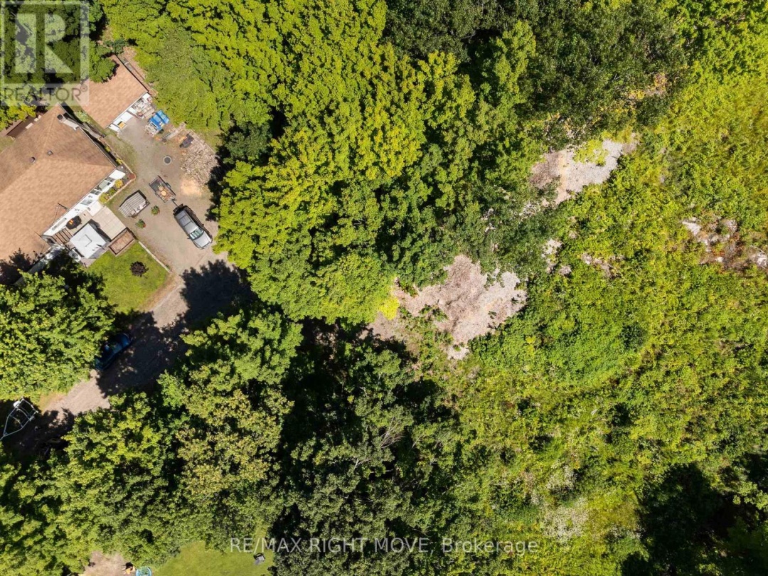 255 PEARL DRIVE, 