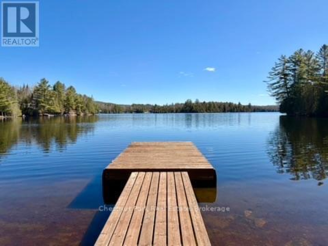 10453 COUNTY ROAD 503 ROAD, Gooderham Lake