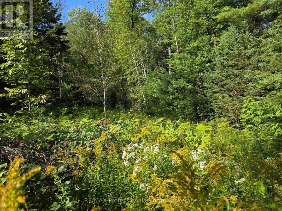 671 LYNX LAKE ROAD, 