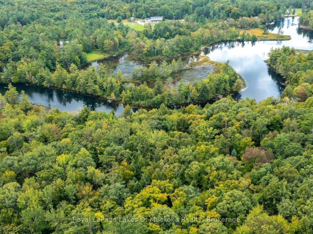 0 MUSKOKA RIVER, 