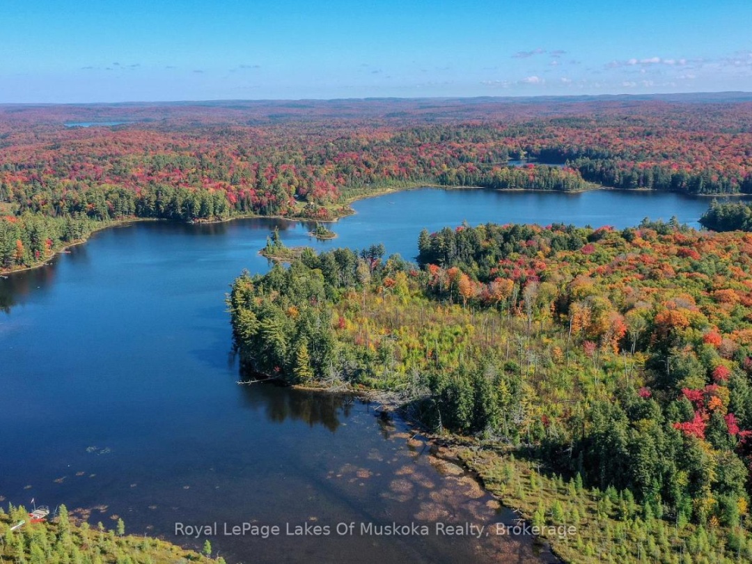 1420 Limberlost Road, Pell Lake