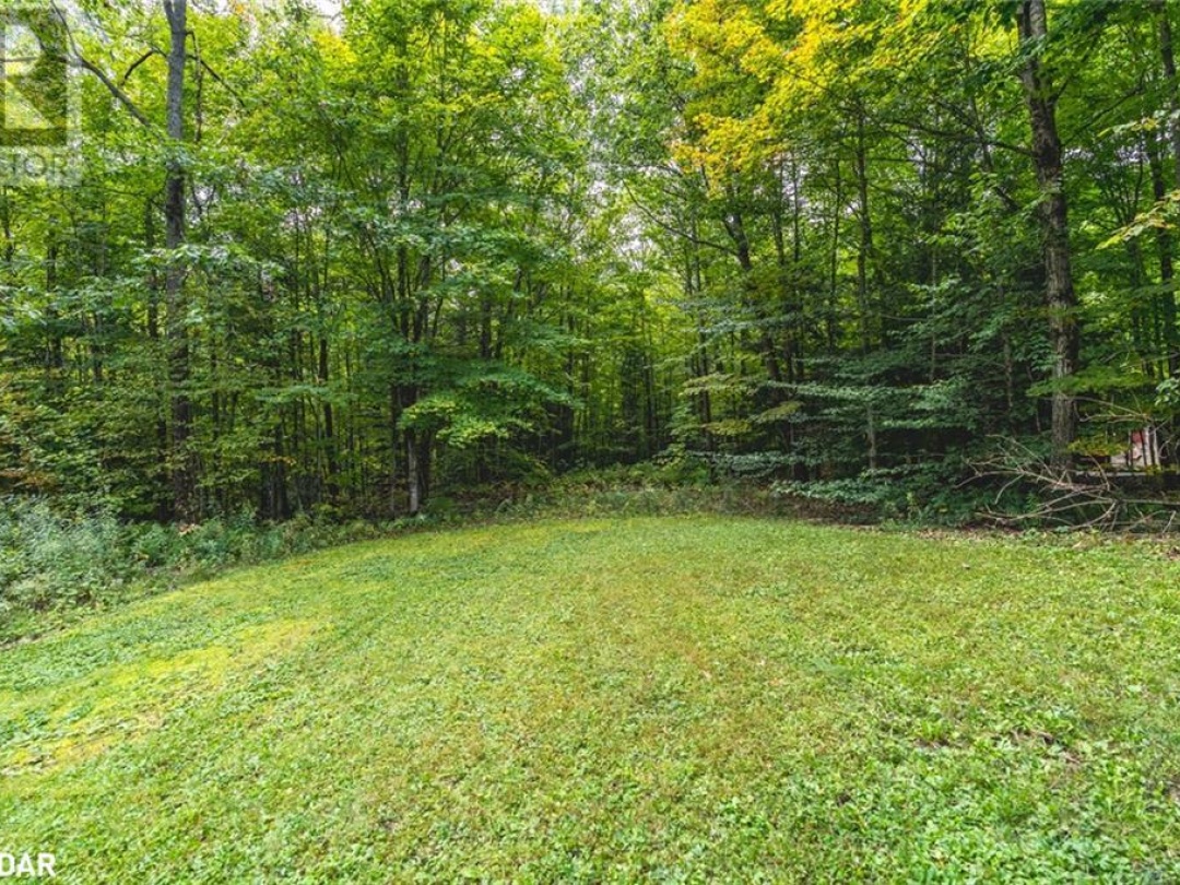 2994 Wasdell Falls Road, Washago