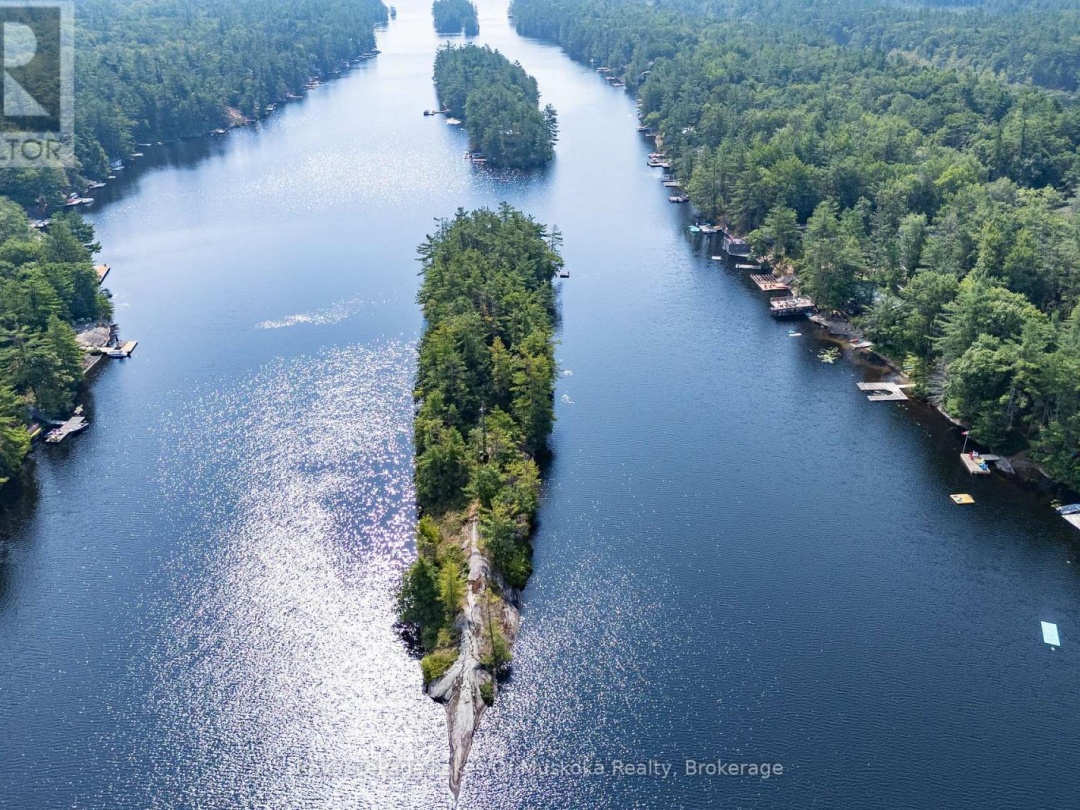 49 PINETREE ROAD, Loon Lake