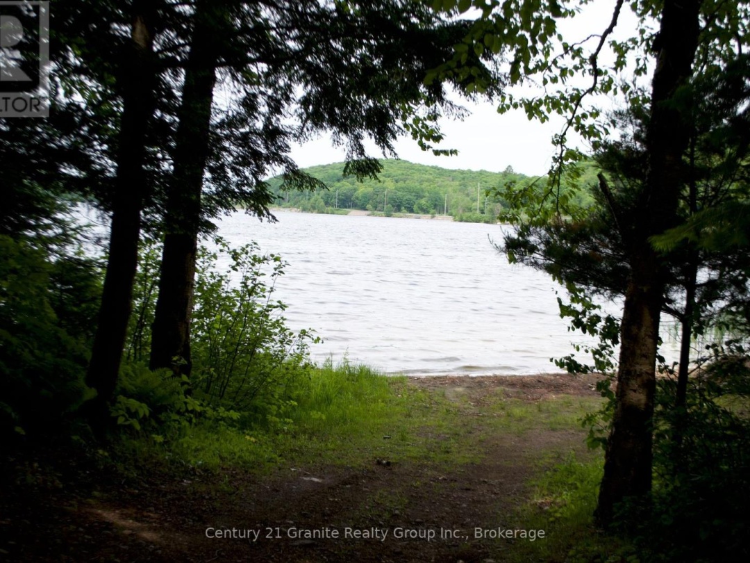 LOT 10 LOON LAKE ROAD S, Loon Lake