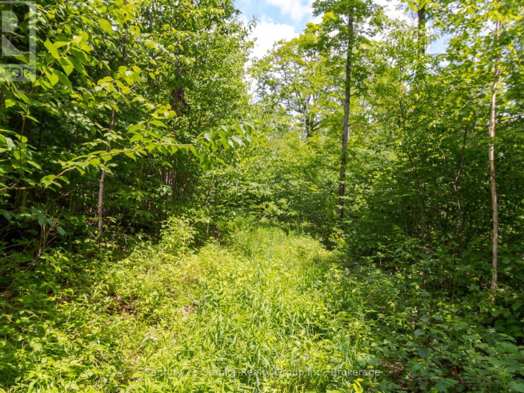0 HALIBURTON LAKE ROAD, 