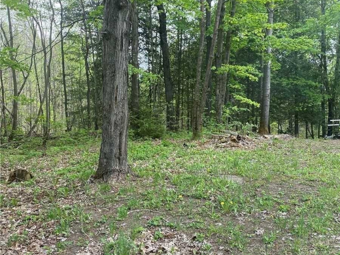 3460 HARBURN ROAD, Dysart et al (Harburn)