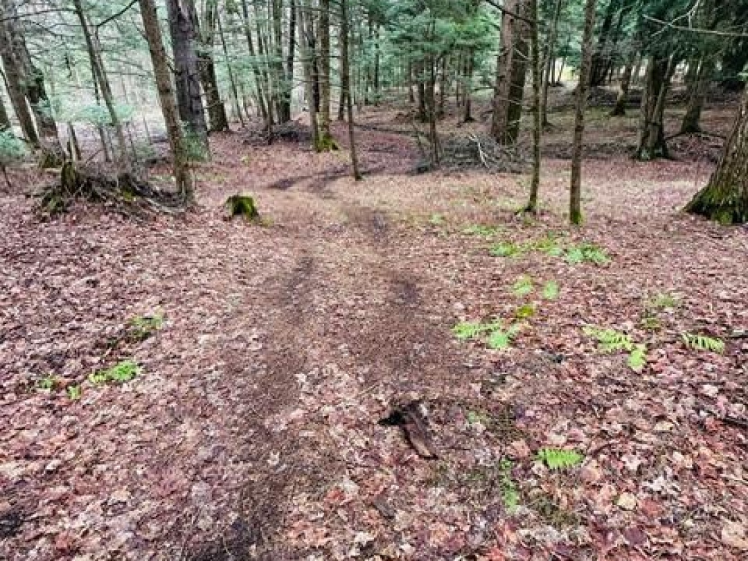 1297 HUNTER CREEK ROAD, Minden Hills (Lutterworth)