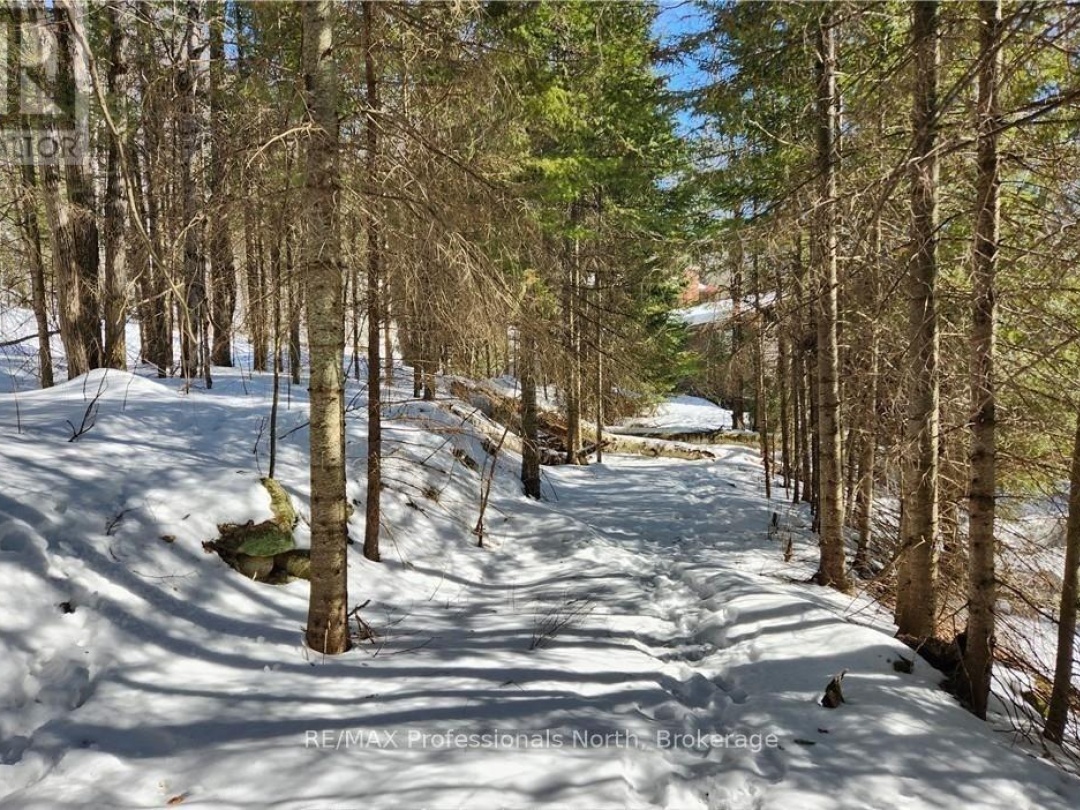 0 POVERTY BAY TRAIL, Soyers Lake