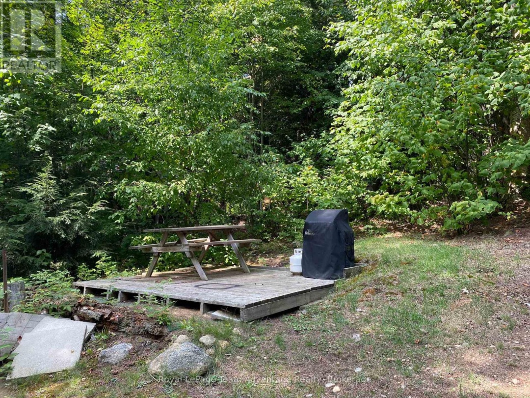 6-236 ISLAND, Otter Lake