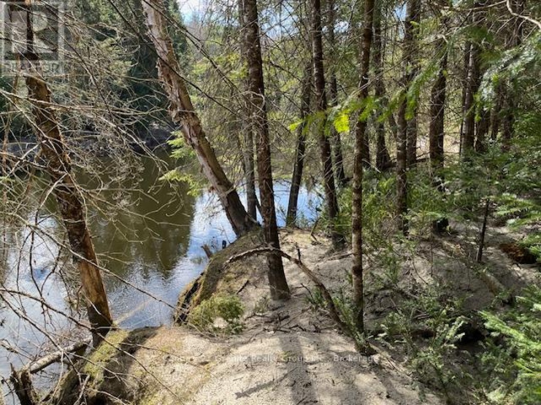 0 COUNTY ROAD 503, Irondale River