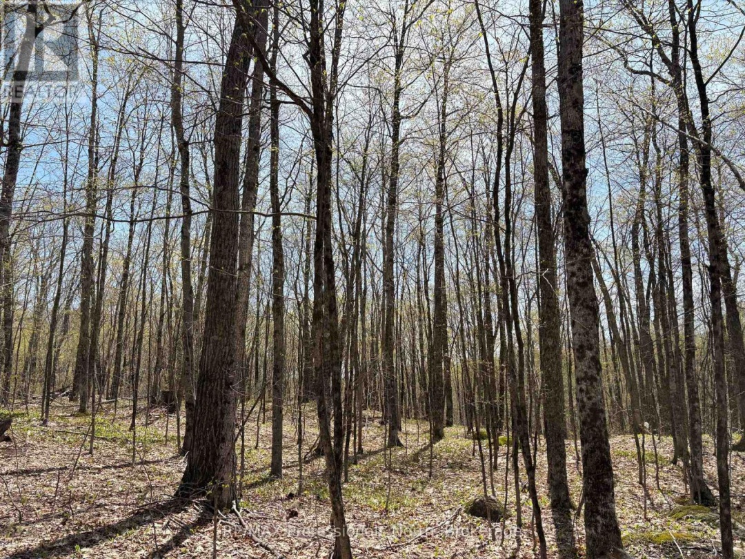 2346 KUSHOG LAKE ROAD, Algonquin Highlands (Stanhope)