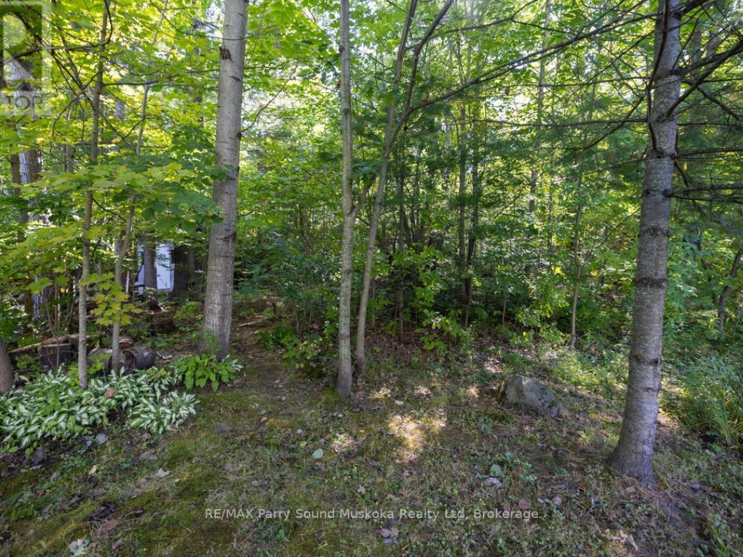 28 FOREST STREET, 