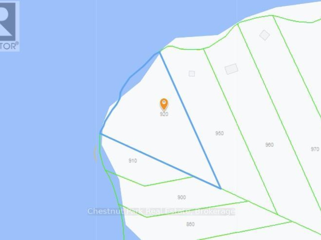 920 BIG ISLAND, 