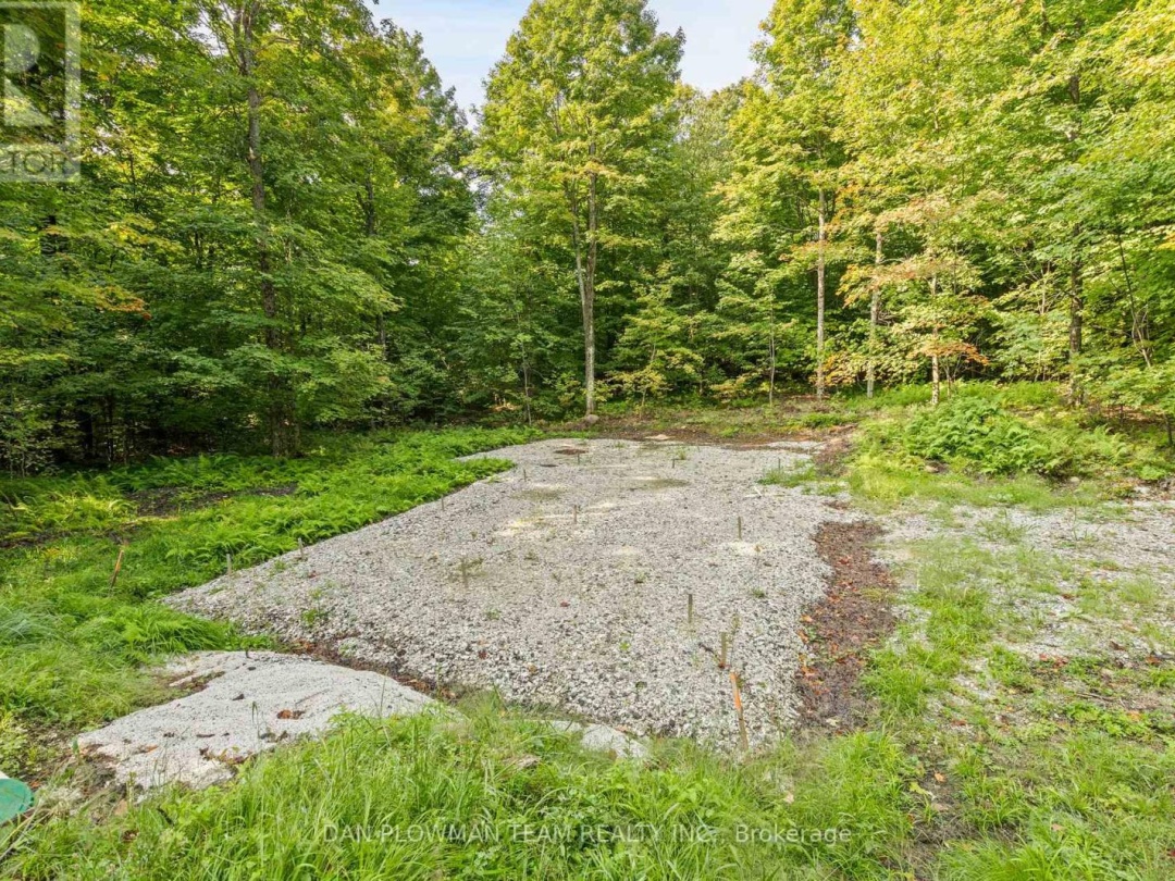1409 BASSHAUNT LAKE ROAD, Dysart et al (Guilford)